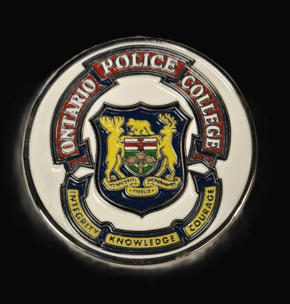 "Feel the Bern" Challenge coin