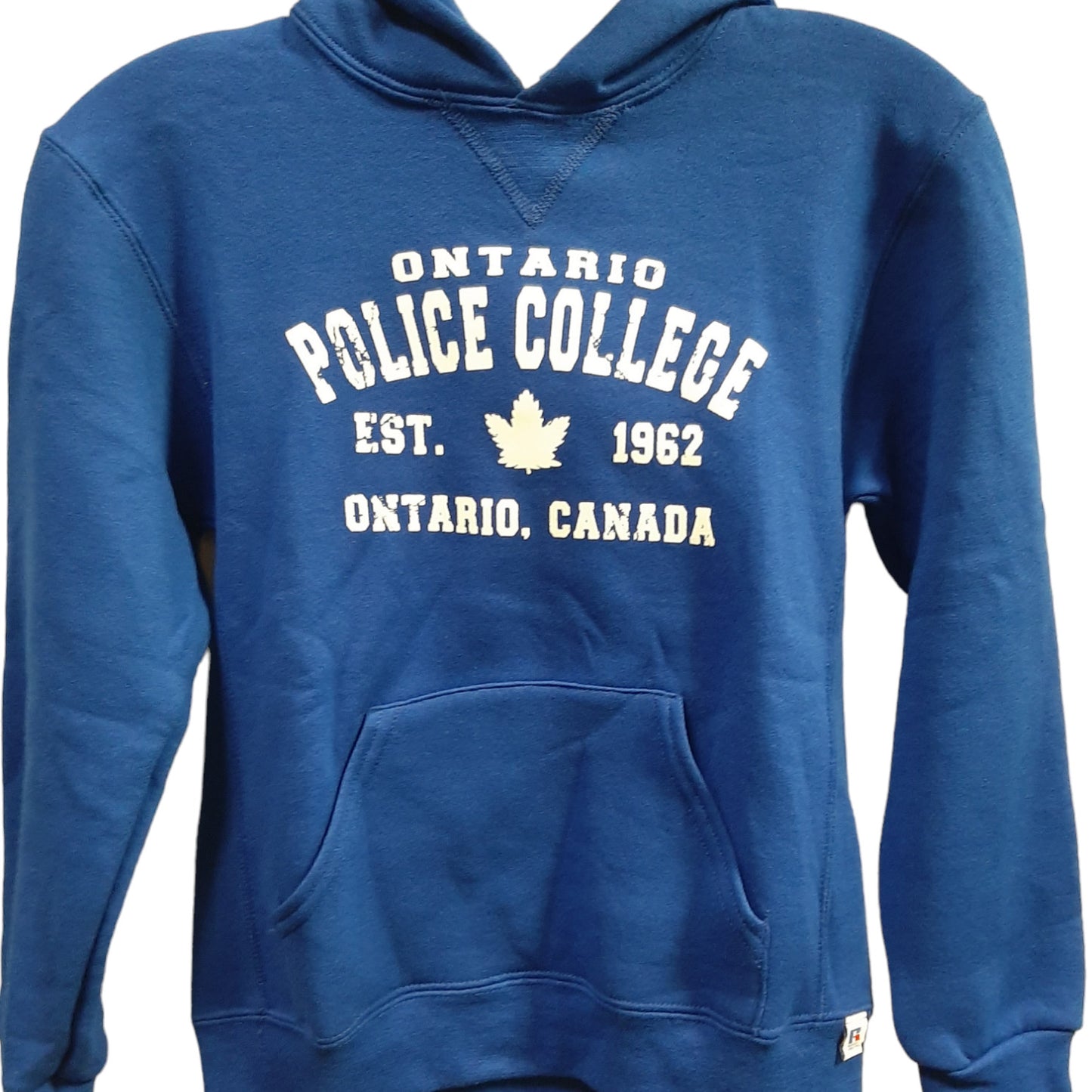 Youth Hooded Sweatshirt