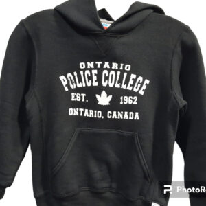 Youth Hooded Sweatshirt